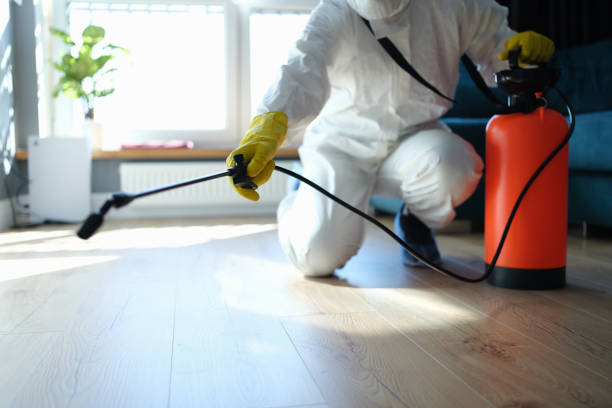 Reliable Odor Removal contractor in Vienna, NJ by Trauma Clean Pros